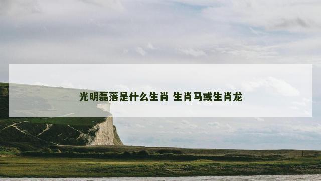 光明磊落是什么生肖 生肖马或生肖龙