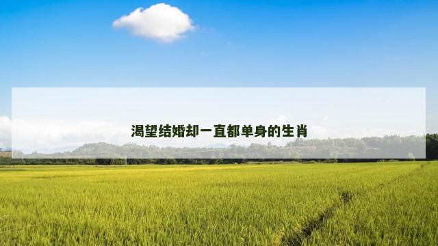 渴望结婚却一直都单身的生肖