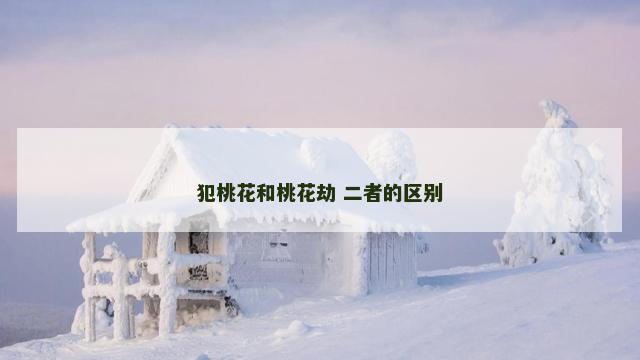 犯桃花和桃花劫 二者的区别