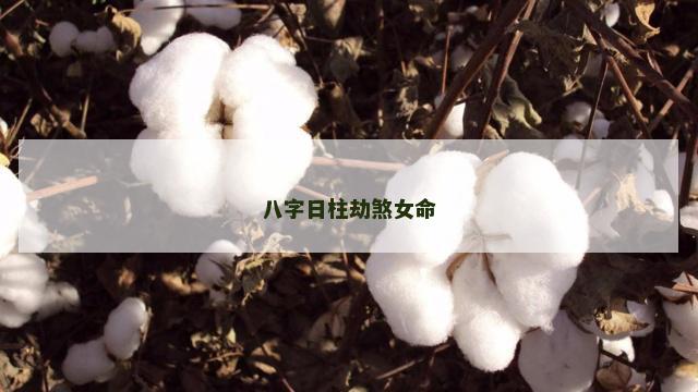 八字日柱劫煞女命