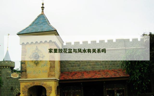 家里放花盆与风水有关系吗