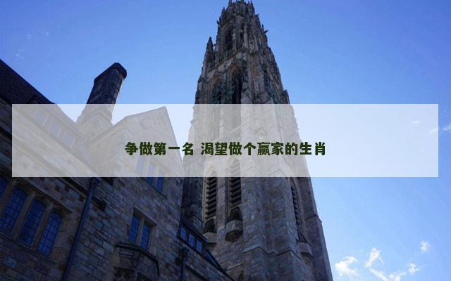 争做第一名 渴望做个赢家的生肖