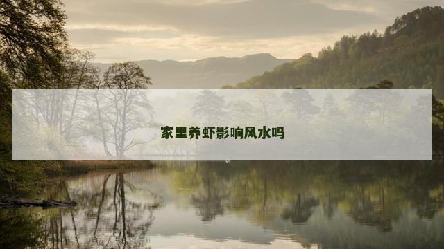 家里养虾影响风水吗