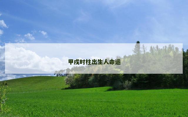 甲戌时柱出生人命运