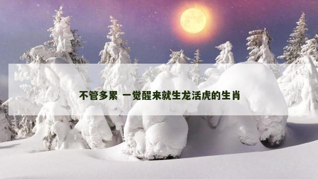 不管多累 一觉醒来就生龙活虎的生肖