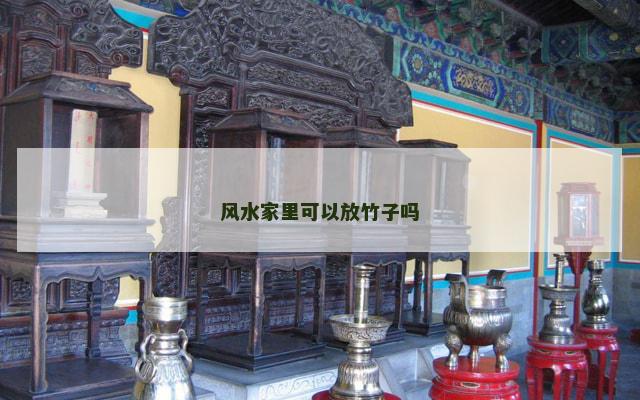 风水家里可以放竹子吗
