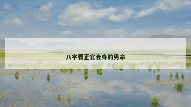 八字看正官合身的男命