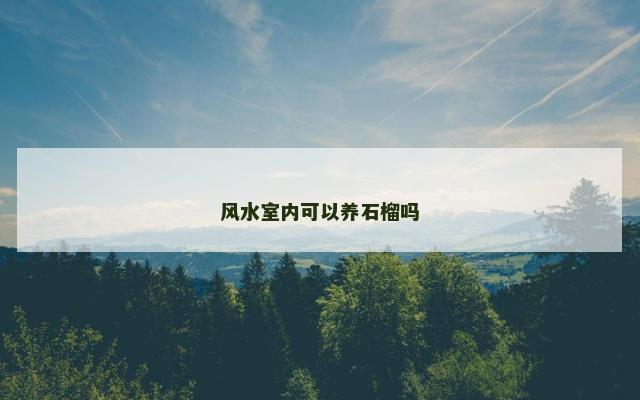 风水室内可以养石榴吗