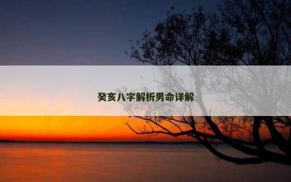 癸亥八字解析男命详解