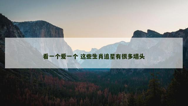 看一个爱一个 这些生肖追星有很多墙头