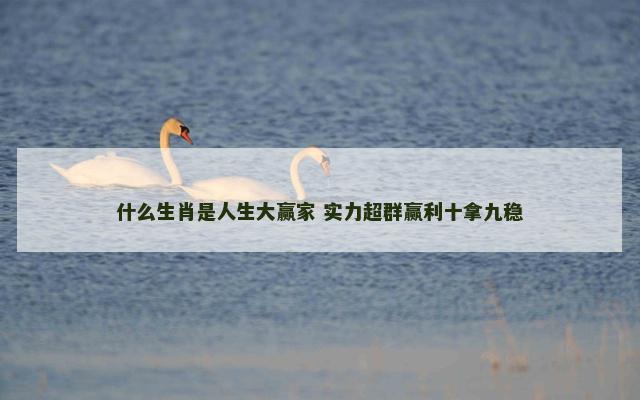 什么生肖是人生大赢家 实力超群赢利十拿九稳