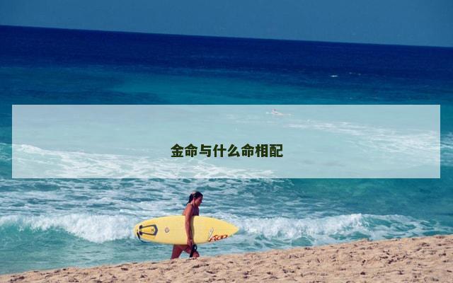金命与什么命相配