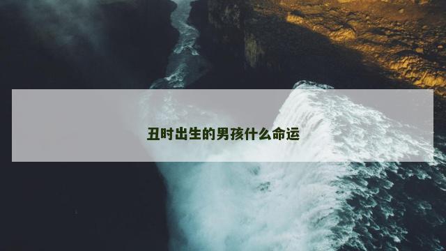 丑时出生的男孩什么命运