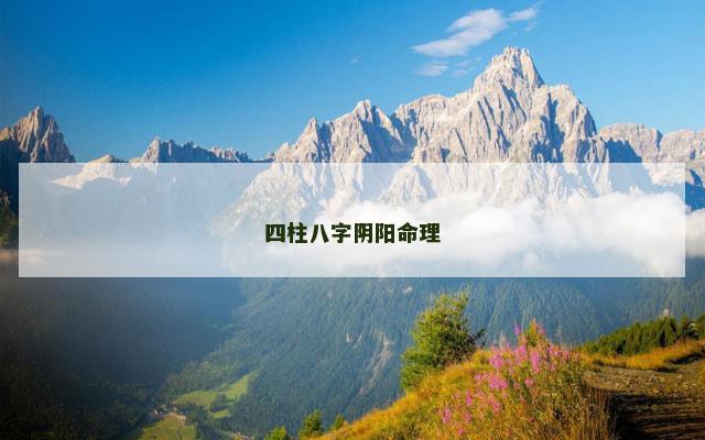 四柱八字阴阳命理