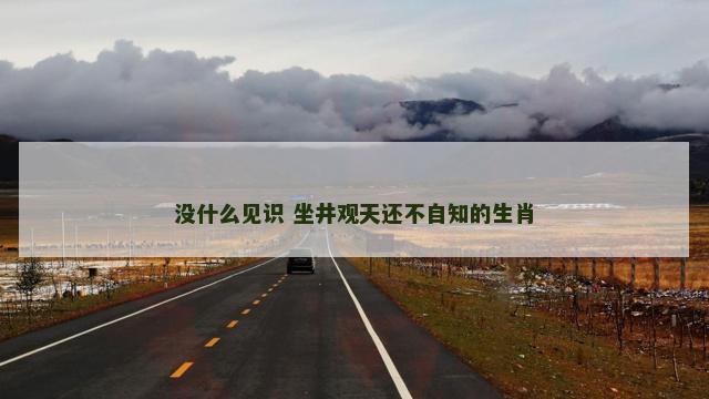 没什么见识 坐井观天还不自知的生肖