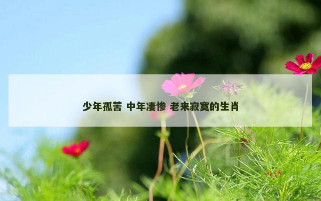 少年孤苦 中年凄惨 老来寂寞的生肖