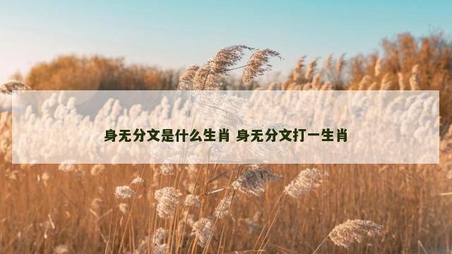 身无分文是什么生肖 身无分文打一生肖