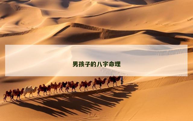男孩子的八字命理