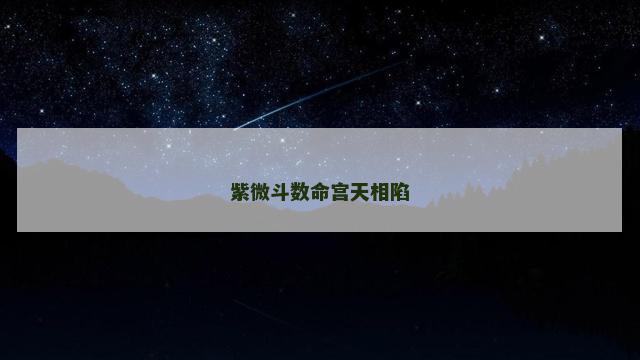 紫微斗数命宫天相陷