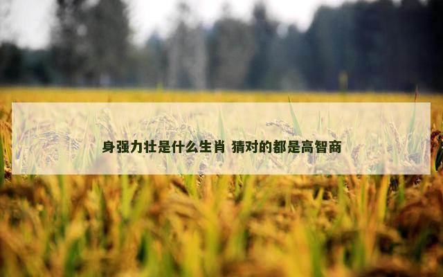 身强力壮是什么生肖 猜对的都是高智商