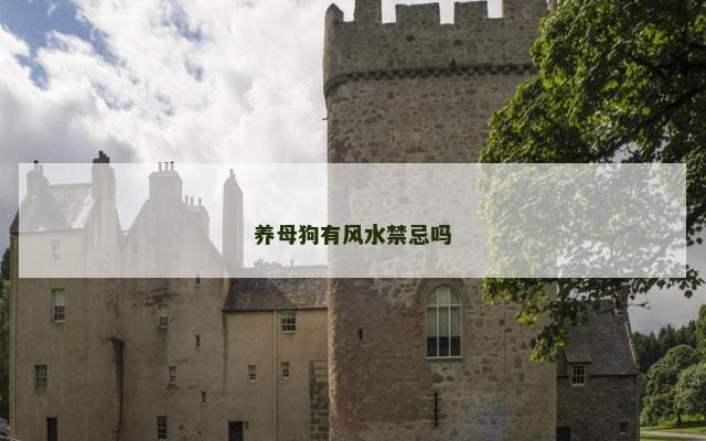 养母狗有风水禁忌吗