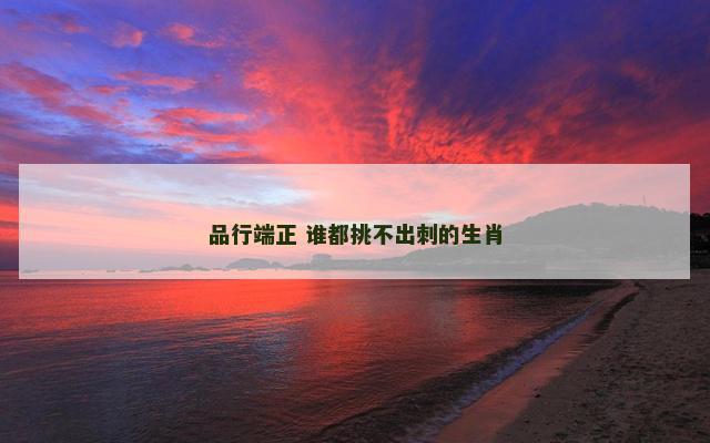品行端正 谁都挑不出刺的生肖