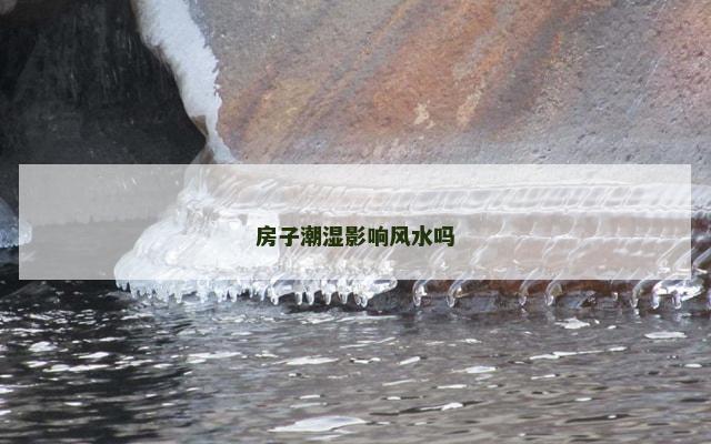 房子潮湿影响风水吗