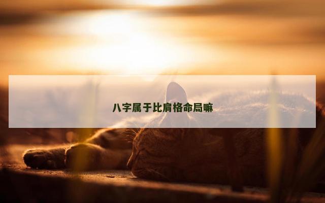 八字属于比肩格命局嘛