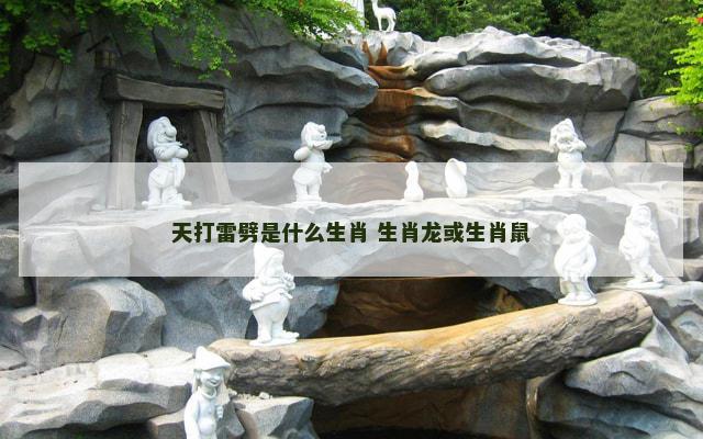天打雷劈是什么生肖 生肖龙或生肖鼠