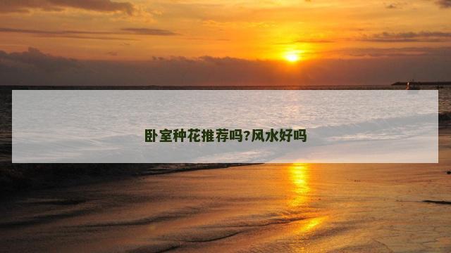 卧室种花推荐吗?风水好吗