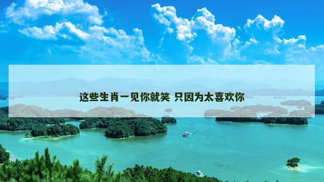 这些生肖一见你就笑 只因为太喜欢你