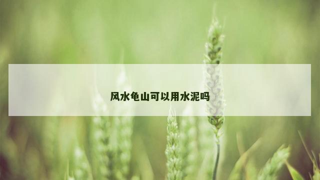 风水龟山可以用水泥吗