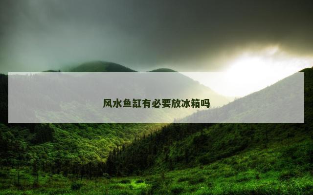 风水鱼缸有必要放冰箱吗