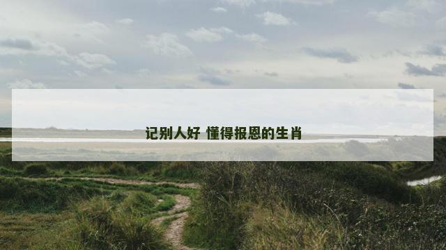 记别人好 懂得报恩的生肖