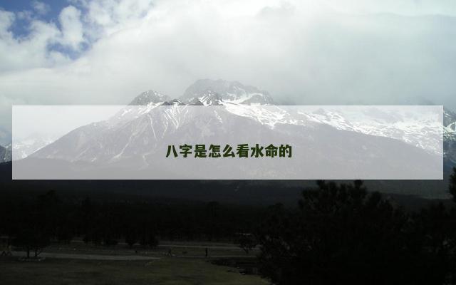 八字是怎么看水命的