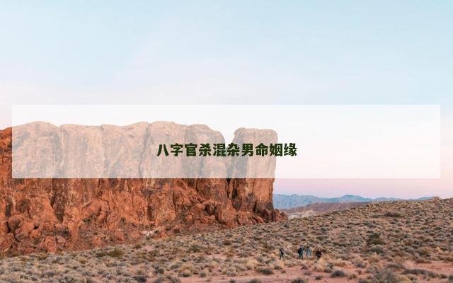 八字官杀混杂男命姻缘