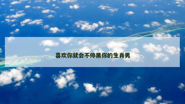 喜欢你就会不停黑你的生肖男