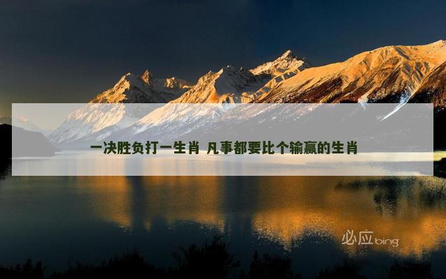 一决胜负打一生肖 凡事都要比个输赢的生肖
