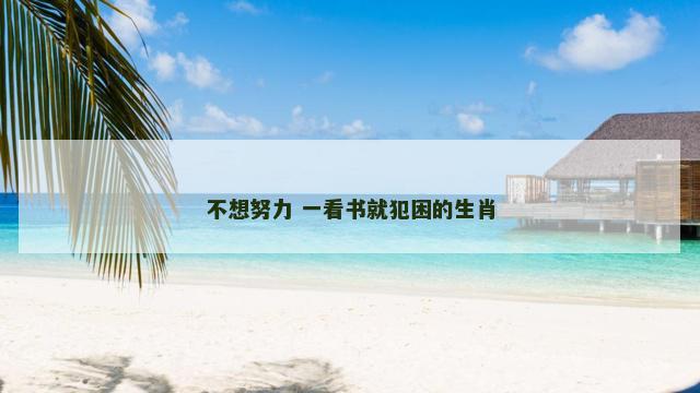 不想努力 一看书就犯困的生肖