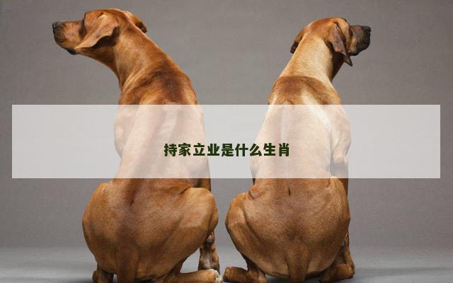 持家立业是什么生肖