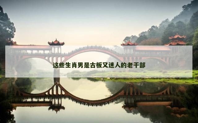 这些生肖男是古板又迷人的老干部