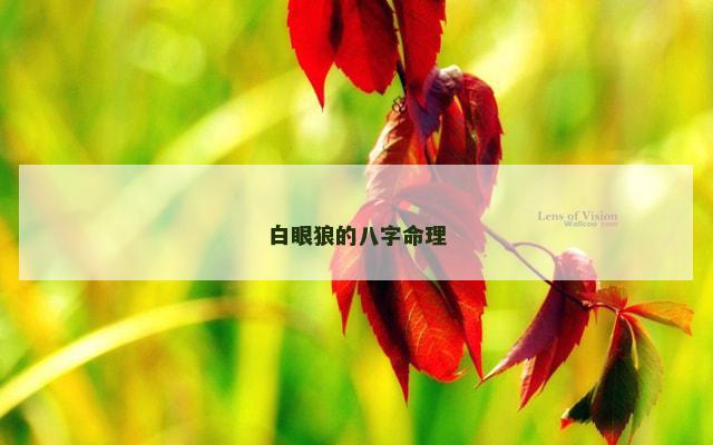白眼狼的八字命理