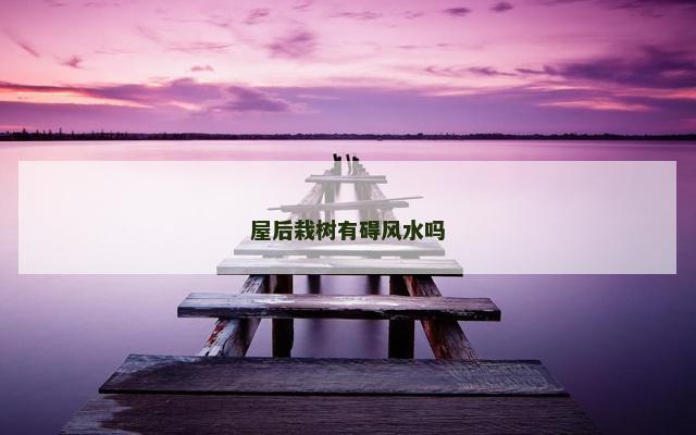 屋后栽树有碍风水吗