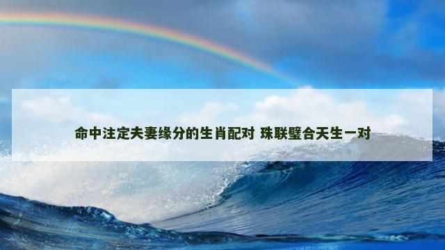 命中注定夫妻缘分的生肖配对 珠联璧合天生一对