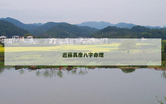 近藤真彦八字命理