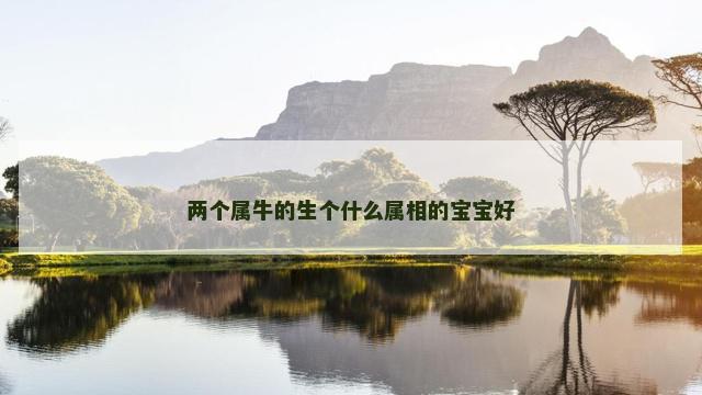 两个属牛的生个什么属相的宝宝好