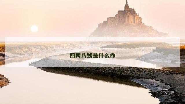 四两八钱是什么命