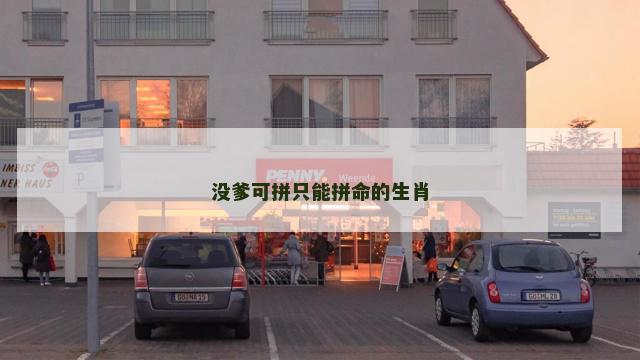 没爹可拼只能拼命的生肖