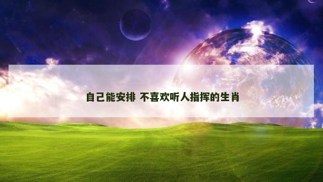 自己能安排 不喜欢听人指挥的生肖