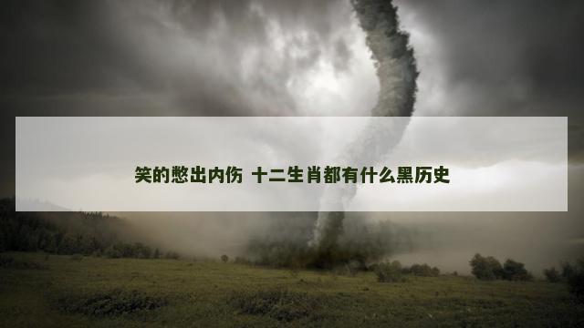 笑的憋出内伤 十二生肖都有什么黑历史
